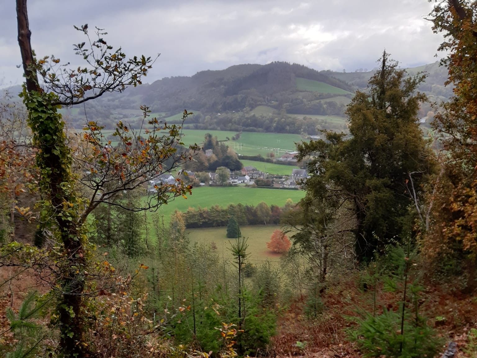 Gallt-yr-Ancr